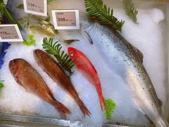 -T11生鲜超市(朝阳公园店)