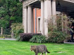 -Circle圆·花园西餐厅