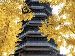 -金城公园