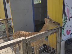 -前小桔亲子创意农场·草莓采摘·露营烧烤