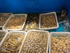 -福来齐·鲁菜海鲜·渔家菜(朝阳街分店)