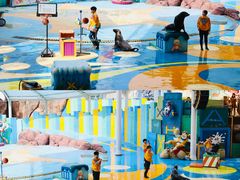 -海合安成都极地海洋公园