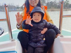 -上海长兴岛郊野公园