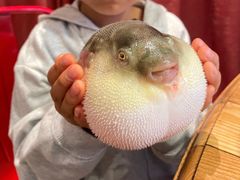 -永安鱼庄·镇江菜(丁卯店)