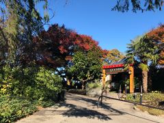 -四季餐厅