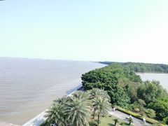 -大湾区中央湿地公园