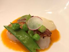 -蝶舍·MAISON PAPILLON