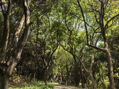 -燕晗山郊野公园