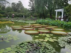 -国家植物园南园