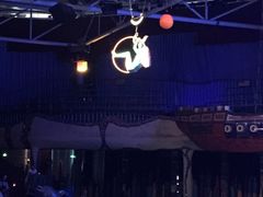 -大连圣亚海洋世界