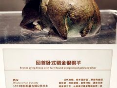 -宁夏博物馆
