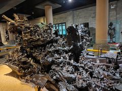 -乐山乌木文化博览苑