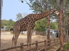 -大连森林动物园