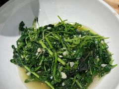 -巴人堂(女儿城店)