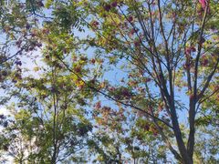 -永定河休闲森林公园