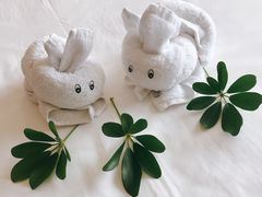 -三亚湾红树林度假世界(木棉酒店)