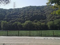 -西湖风景区十里琅珰-五云山