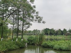 -海珠湖公园