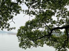 -东湖落雁景区