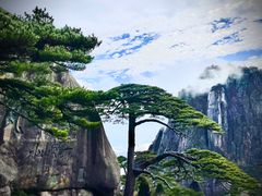 -黄山风景区