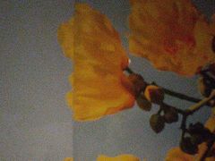 -蓉府金足印象(望江店)