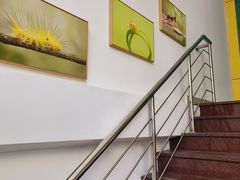 -上海昆虫博物馆