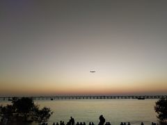 -宝安西湾红树林湿地公园