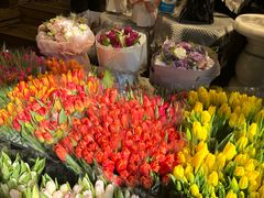 -循礼门鲜花花市(武汉循礼门店)