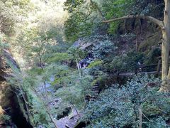 -莫干山风景区