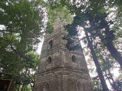 -江心屿景区