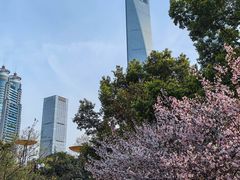 -陆家嘴中心绿地