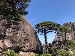 -黄山风景区