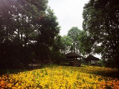 -保利石象湖景区