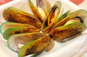 Blue Mussels