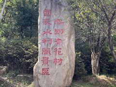 -杏花村文化旅游区