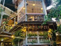 -Rainforest