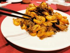 -老吉士酒家(天平路店)