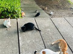 -安徽工业大学(秀山校区)