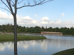 -上海海湾国家森林公园