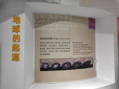 -中国第四纪冰川遗迹陈列馆