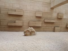 -盘龙城国家考古遗址公园