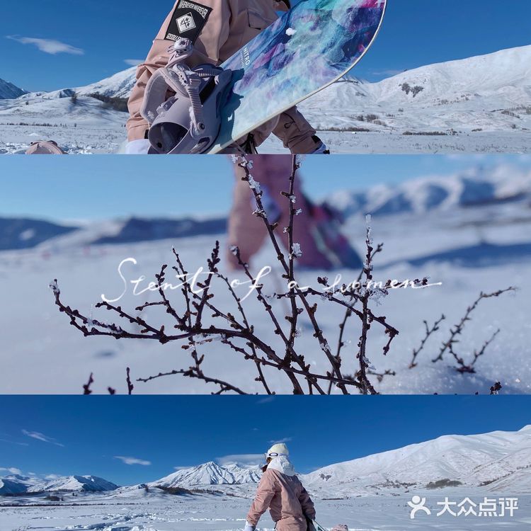 禾木吉克普林滑雪场 📷拍照绝美😌集美们冲