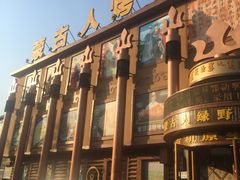 -蒙古人烤羊大师·绿野餐厅(工农大路店)