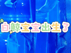-正佳极地海洋世界