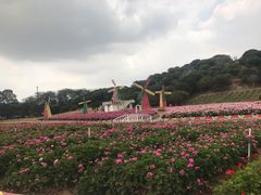 -松山湖梦幻百花洲
