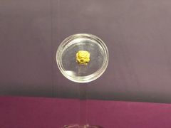 -南越王博物院(王宫展区)