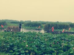 -洪湖生态旅游区