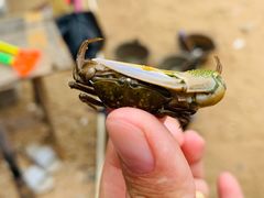 -红树林天天赶海
