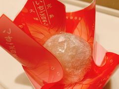 -阪急百货店(梅田总店)