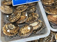 -双井轩(双井店)